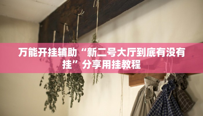 万能开挂辅助“果果互娱辅助脚本”分享必要外挂教程 万能开挂辅助“果果互娱辅助脚本”分享必要外挂教程