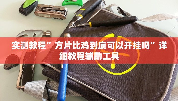 实测教程”方片比鸡到底可以开挂吗”详细教程辅助工具