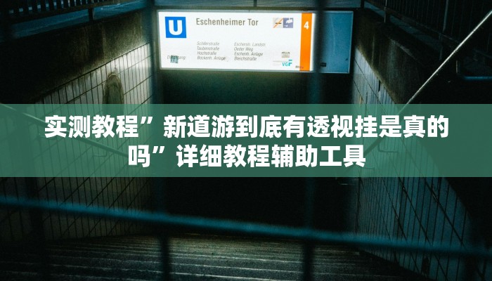 实测教程”新道游到底有透视挂是真的吗”详细教程辅助工具 实测教程”新道游到底有透视挂是真的吗”详细教程辅助工具