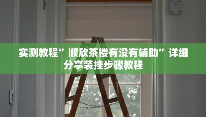 实测教程”顺欣茶楼有没有辅助”详细分享装挂步骤教程 实测教程”顺欣茶楼有没有辅助”详细分享装挂步骤教程