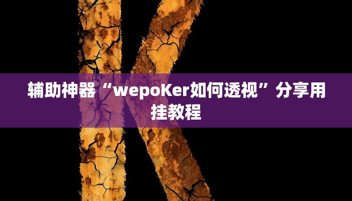 辅助神器“wepoKer如何透视”分享用挂教程 辅助神器“wepoKer如何透视”分享用挂教程
