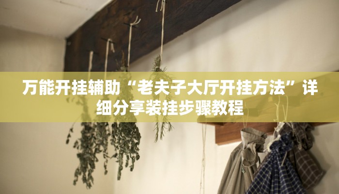 万能开挂辅助“老夫子大厅开挂方法”详细分享装挂步骤教程 万能开挂辅助“老夫子大厅开挂方法”详细分享装挂步骤教程
