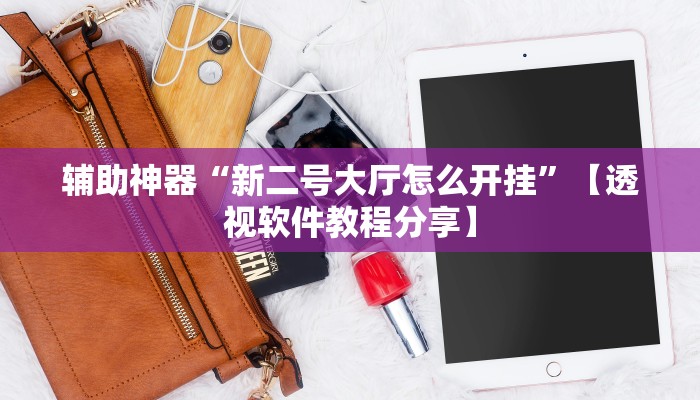 辅助神器“新二号大厅怎么开挂”【透视软件教程分享】