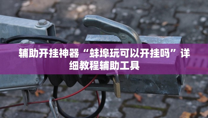 辅助开挂神器“蚌埠玩可以开挂吗”详细教程辅助工具