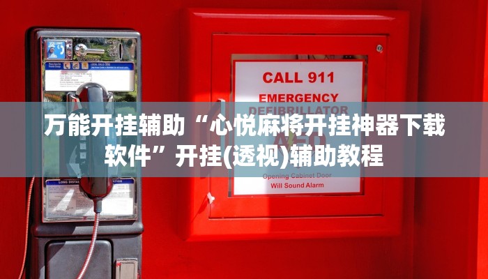 辅助开挂神器“先锋跑得快怎么开挂”详细教程辅助工具 辅助开挂神器“先锋跑得快怎么开挂”详细教程辅助工具