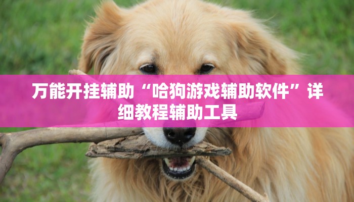 万能开挂辅助“哈狗游戏辅助软件”详细教程辅助工具