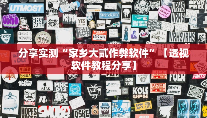 分享实测“家乡大贰作弊软件”【透视软件教程分享】