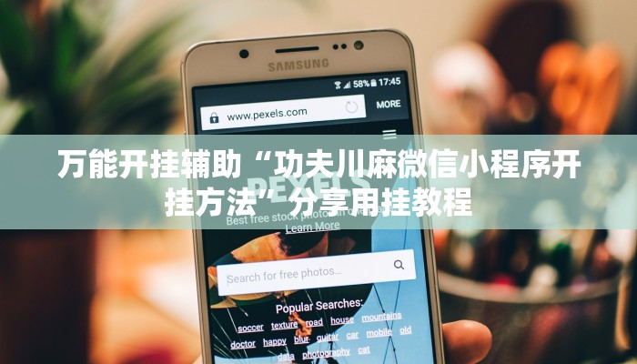 万能开挂辅助“功夫川麻微信小程序开挂方法”分享用挂教程 万能开挂辅助“功夫川麻微信小程序开挂方法”分享用挂教程