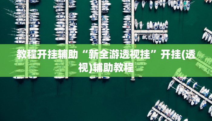 教程开挂辅助“新全游透视挂”开挂(透视)辅助教程 教程开挂辅助“新全游透视挂”开挂(透视)辅助教程