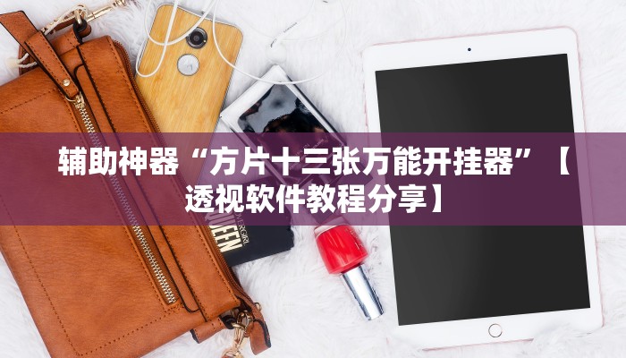 辅助神器“方片十三张万能开挂器”【透视软件教程分享】 辅助神器“方片十三张万能开挂器”【透视软件教程分享】