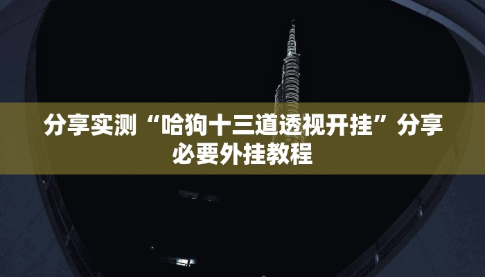 分享实测“哈狗十三道透视开挂”分享必要外挂教程