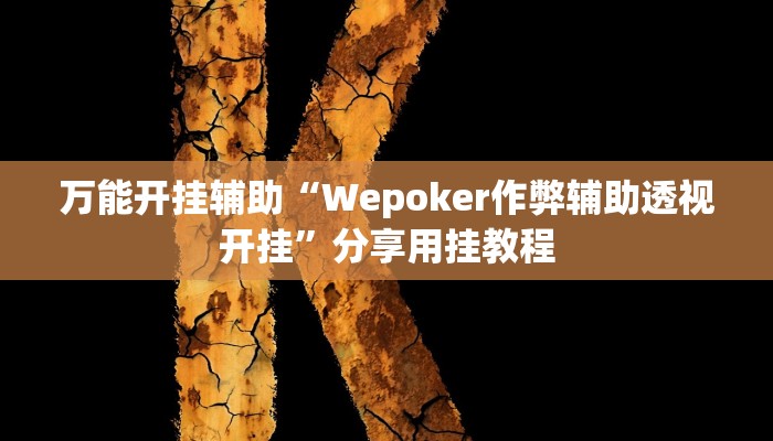 万能开挂辅助“Wepoker作弊辅助透视开挂”分享用挂教程