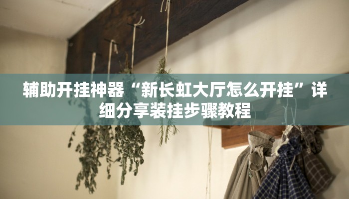 辅助开挂神器“新长虹大厅怎么开挂”详细分享装挂步骤教程