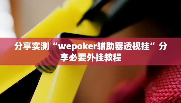 分享实测“wepoker辅助器透视挂”分享必要外挂教程